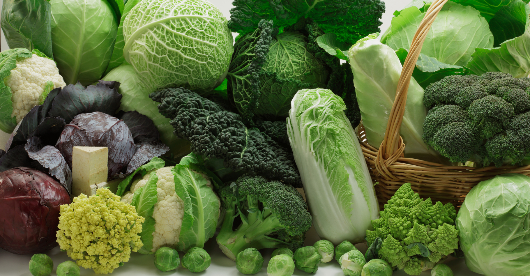 Différentes sortes de choux : rouge, Romanesco, vert, blanc... © Shulevskyy Volodymyr, Shutterstock