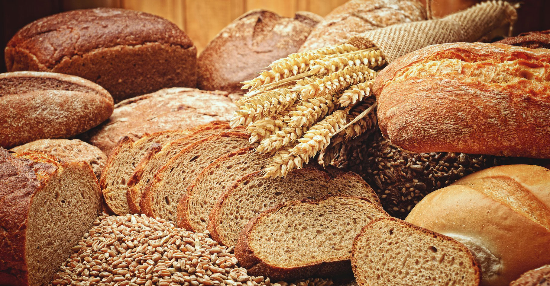Pain aux céréales, pain au seigle, pain à l’épeautre ou encore pain complet, pain blanc ou pain au levain. Il existe presque une infinie variété de pains. Certains se distinguent par leurs ingrédients, d’autres plus largement par leurs recettes de fabrication ou encore par leurs formes. Et bien sûr, par leur goût, tantôt acide ou fruité, tantôt marqué par les céréales.Chaque pain — ou presque — présente des qualités nutritionnelles qui lui sont particulières. Certains affichent des indices glycémiques plus faibles que d’autres. D’autres sont plus riches en minéraux ou en fibres. D’autres sont bien plus digestes.Et si en France, la baguette fait figure de tradition, d’autres pays sont aussi connus pour leur attirance pour le pain. Rien qu’en Europe, on en consomme chaque année plus de 30 millions de tonnes. Pour un marché mondial qui ne cesse de croitre. © aureliofoxrj, Pixabay, CC0 Creative Commons
