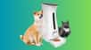 Découvrez une offre connectée à saisir dès maintenant pour le bien-être de votre animal. © Amazon