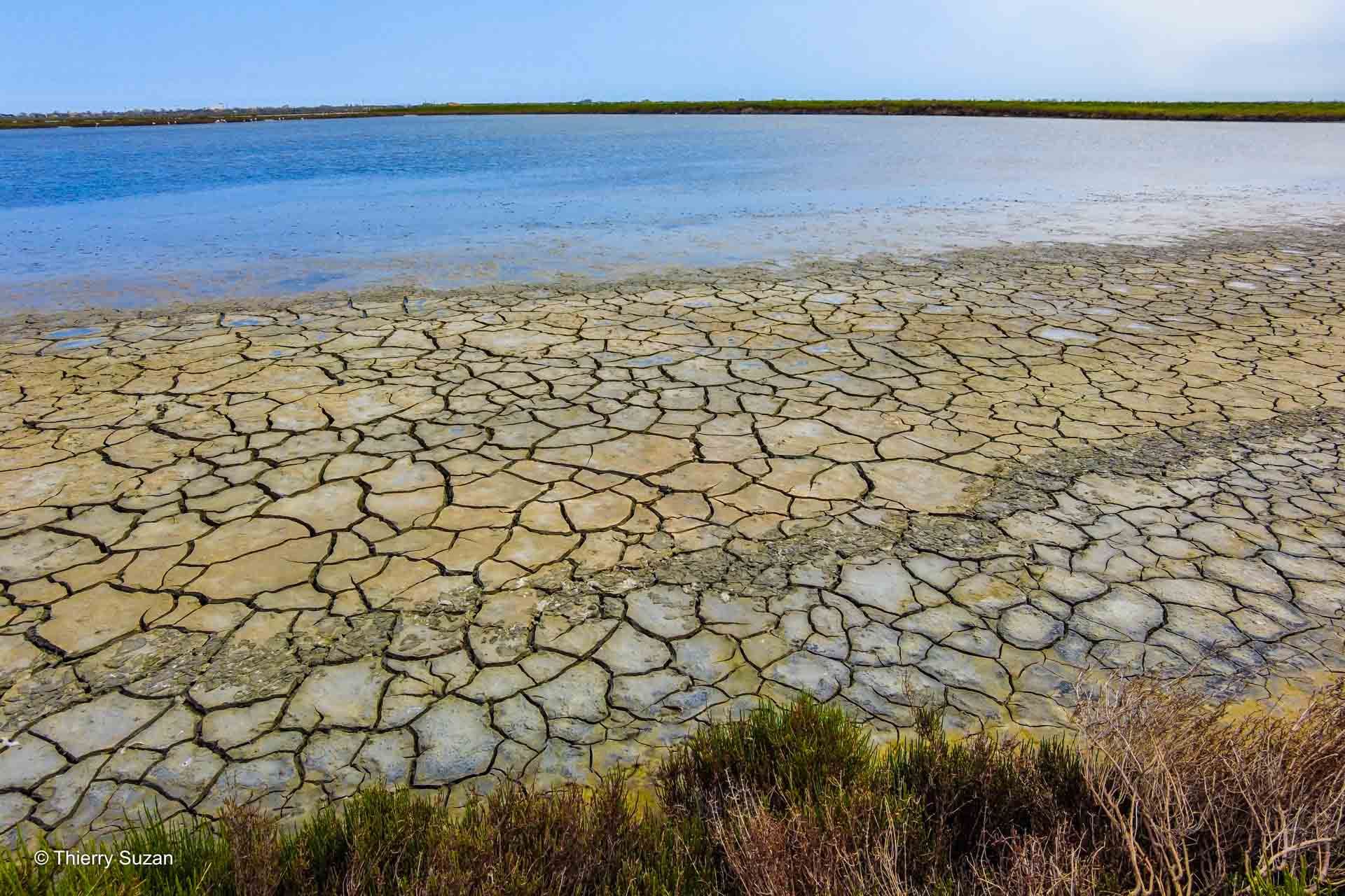 Le delta du Pô, vaste labyrinthe de canaux et de lagunes, est un joyau naturel classé au patrimoine mondial de l'UNESCO. C’est un refuge précieux pour de nombreuses espèces d’oiseaux et un havre de paix entre terre et mer. Delta du Pô © Thierry Suzan – Tous droits réservés