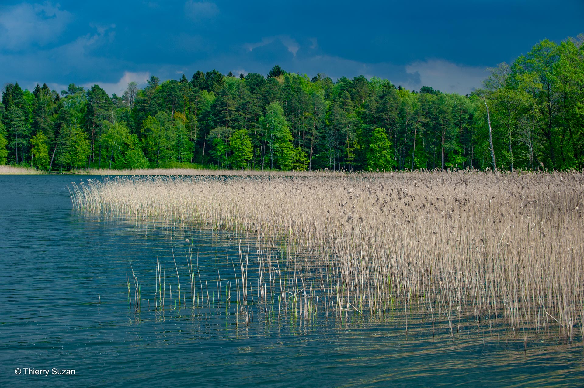 Entouré de collines boisées et parsemé de petites îles, le lac Galvė offre un paysage paisible et enchanteur. Berceau du célèbre château de Trakai, il reflète l’histoire médiévale du pays dans ses eaux calmes, où se mêlent légendes, nature préservée et traditions lituaniennes. Lac Galvė, Kaunas © Thierry Suzan – Tous droits réservés