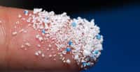 Des chercheurs de plusieurs universités ont mis au point un modèle informatique de dynamique de fluides pour analyser le trajet des microplastiques jusque dans nos voies respiratoires supérieures. © Pcess609, Adobe Stock